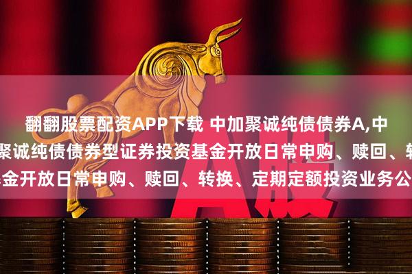 翻翻股票配资APP下载 中加聚诚纯债债券A,中加聚诚纯债债券C: 中加聚诚纯债债券型证券投资基金开放日常申购、赎回、转换、定期定额投资业务公告