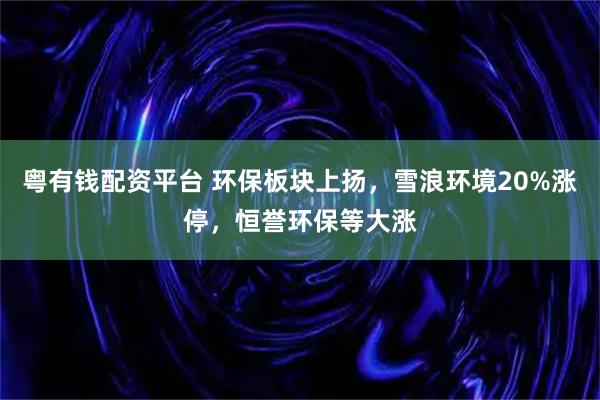 粤有钱配资平台 环保板块上扬，雪浪环境20%涨停，恒誉环保等大涨